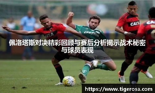 8868体育官方网站