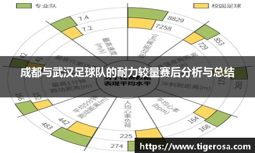 成都与武汉足球队的耐力较量赛后分析与总结